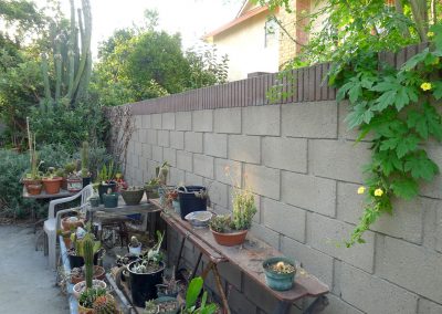 Side section with many pots